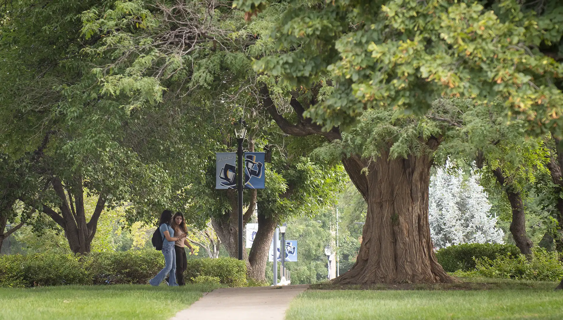 two students walk on campus under large tree