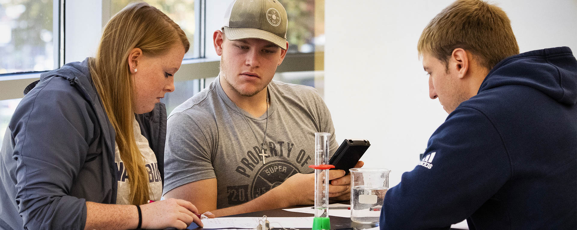 Students work together on an experiment in a lab class.