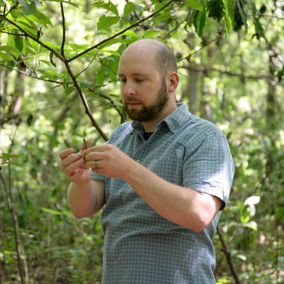 A environmental studies student examines a plant in nature.