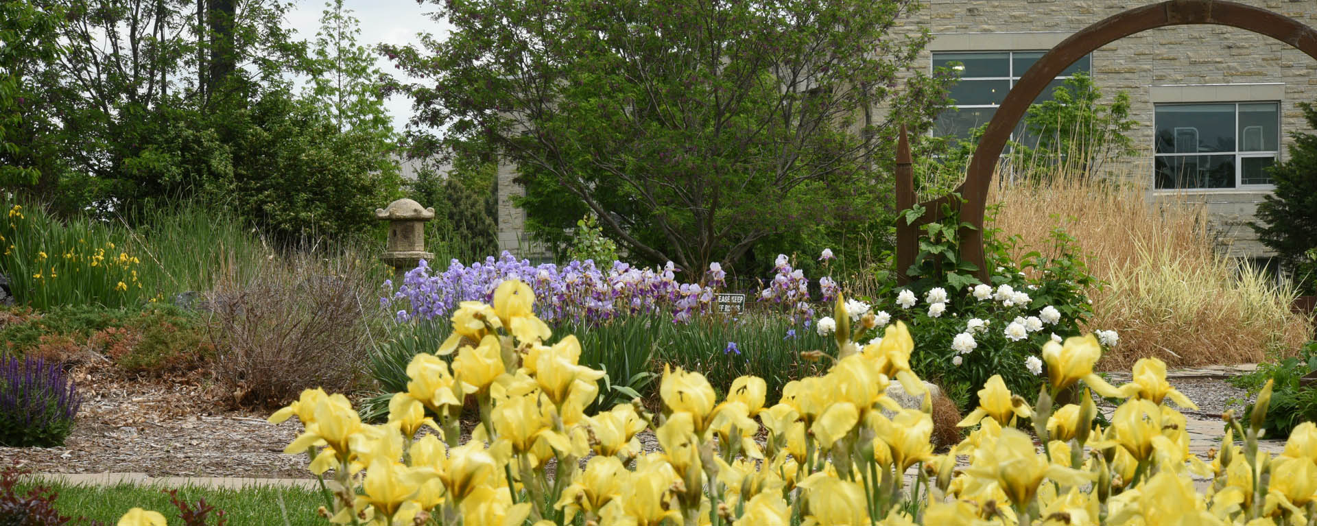 Garden behind Washburn art building 