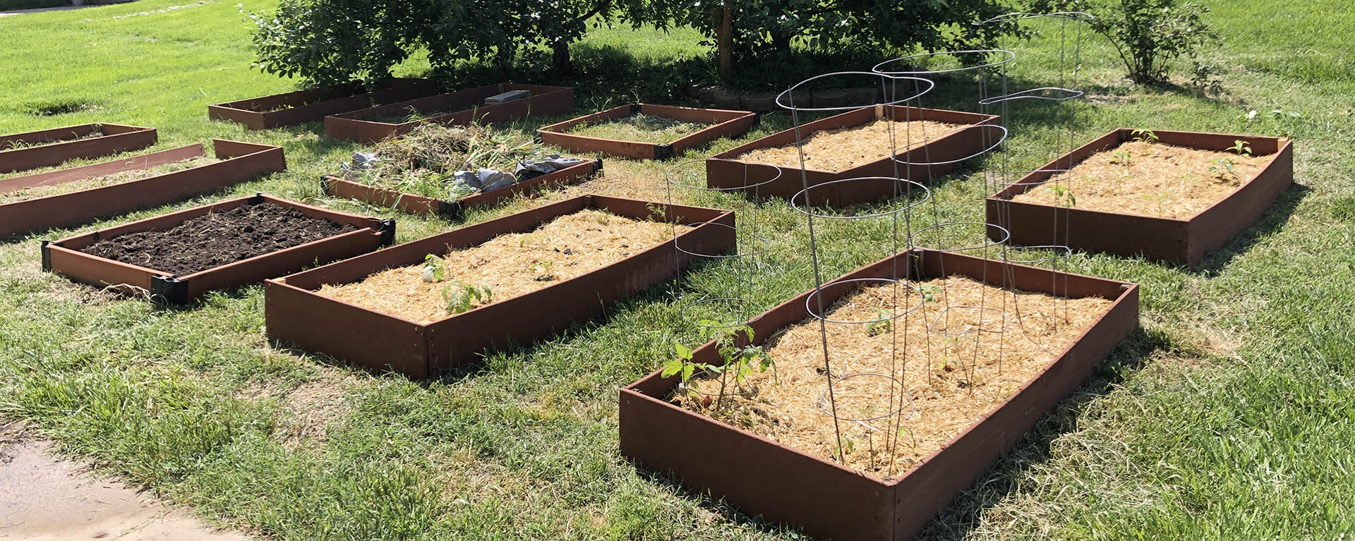 Garden beds prepped for planting.