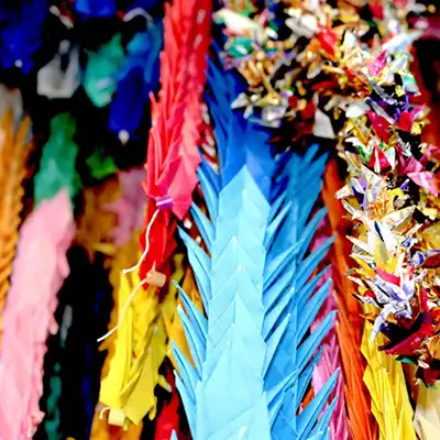 close-up of colorful feather decorations