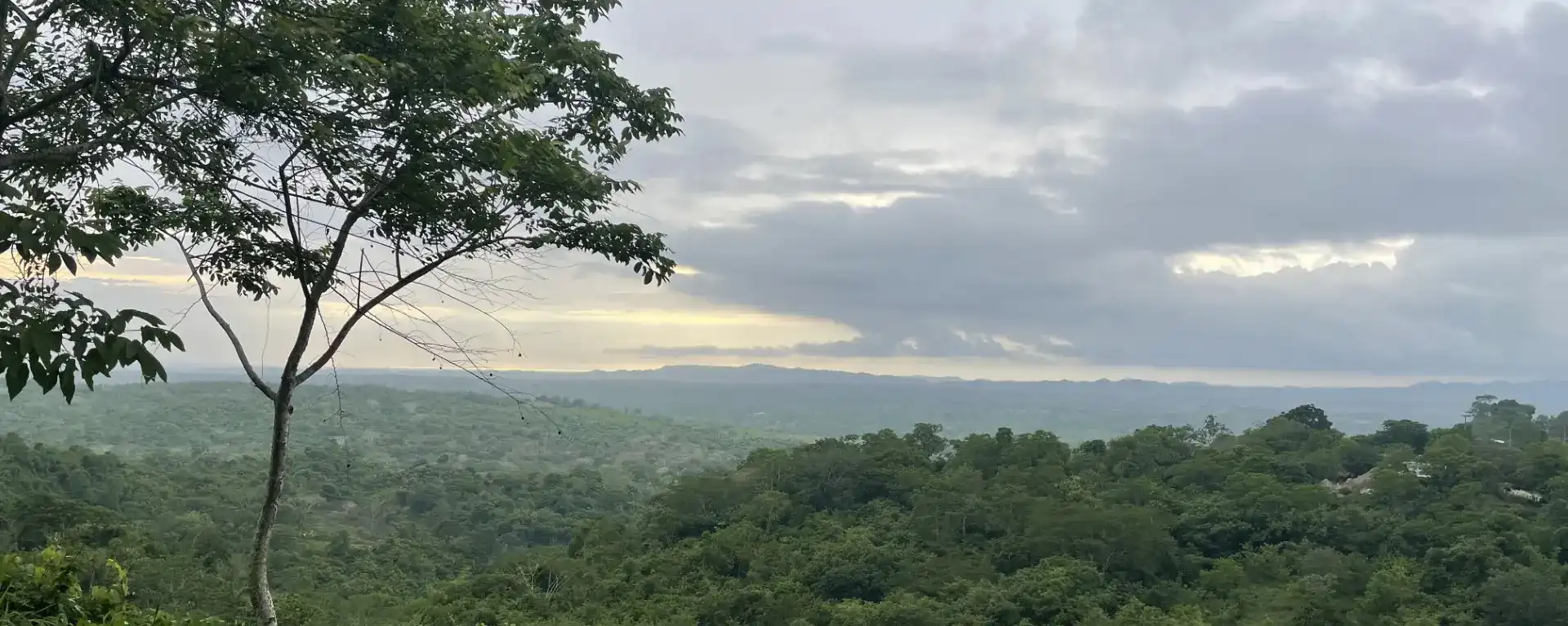 Columbia hills and forest overlook