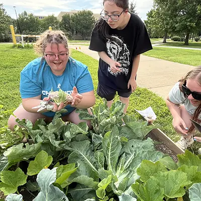 Students examine cauliflower they just harvested.