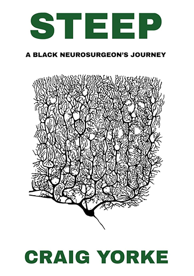 Book Cover for STEEP, title in green, white background with neural brain map image